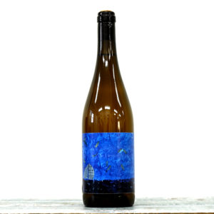 Tren de Vida Un mar de dudas