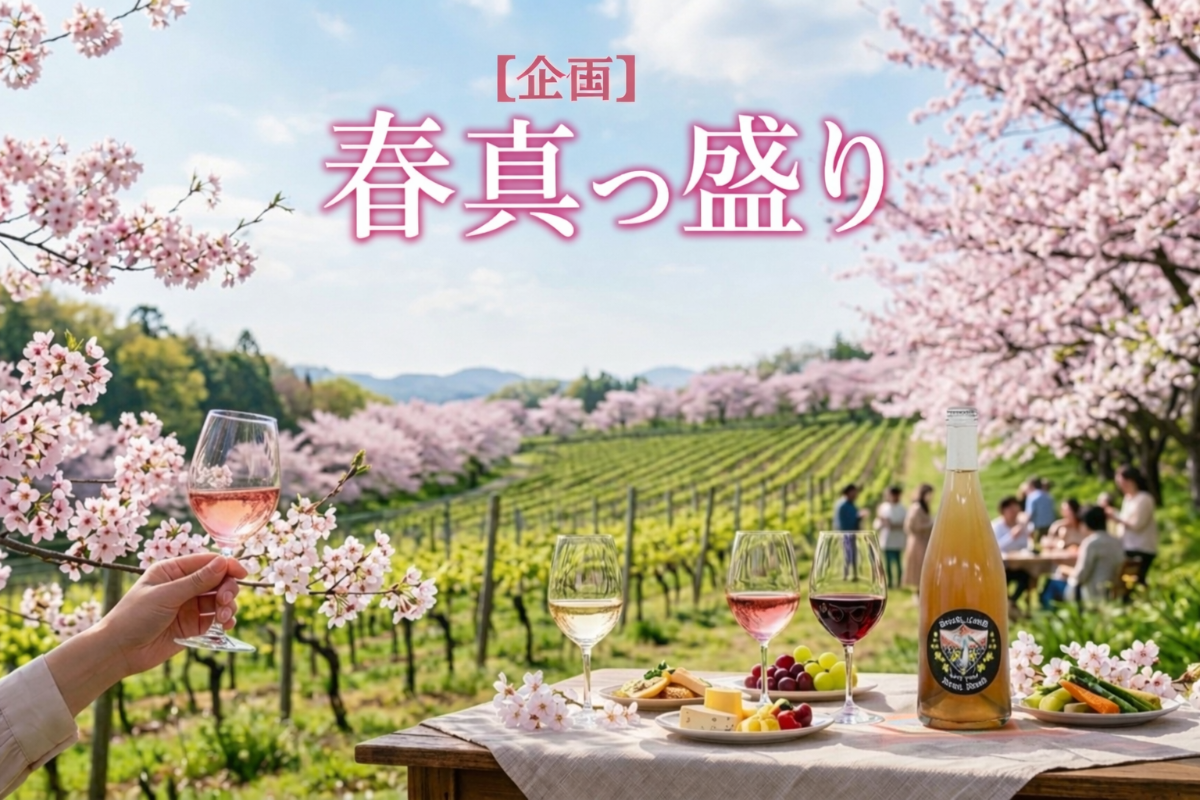 〈4月販売案内〉 春真っ盛り お勧めワイン
