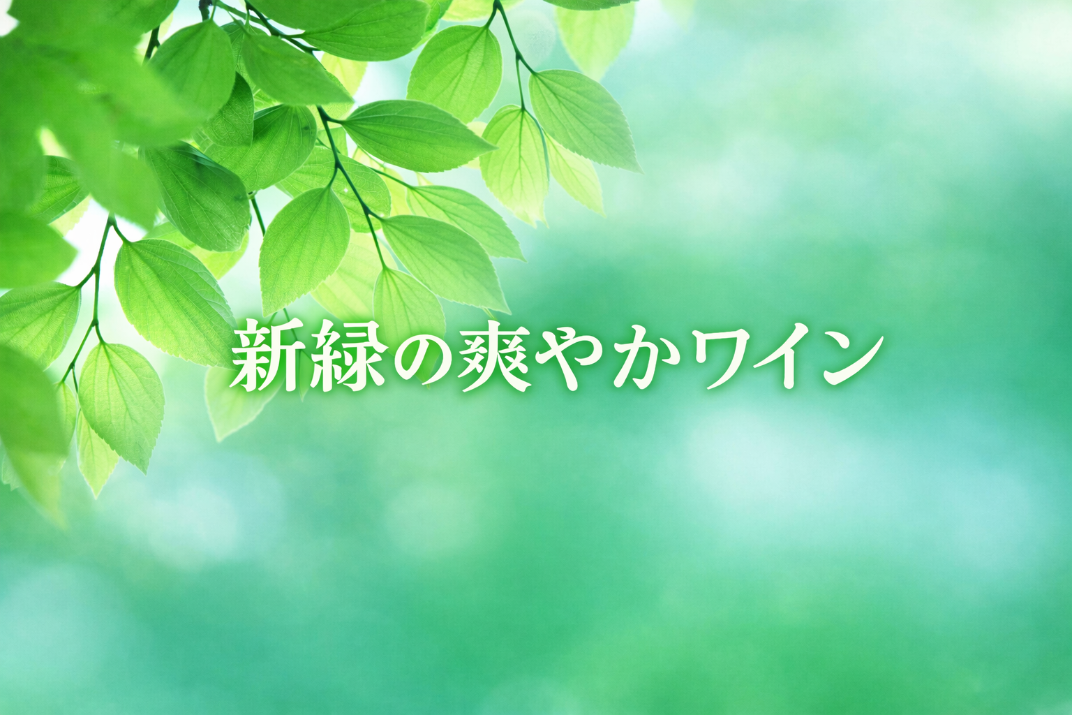 《月例試飲会》 5/12(火)神田aux Facettes様にて開催
